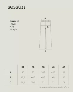 Charlie Pantalons droits